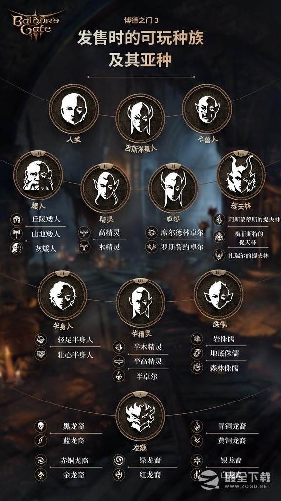 博德之门3正式版可选种族与职业介绍