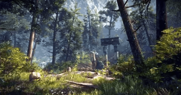 森林之子ID卡在哪