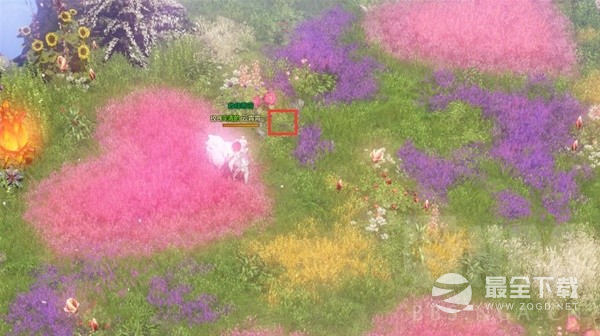 命运方舟称号惹人怜爱怎么解锁