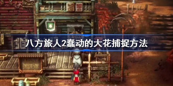 八方旅人2蠢动的大花碰不到怎么回事