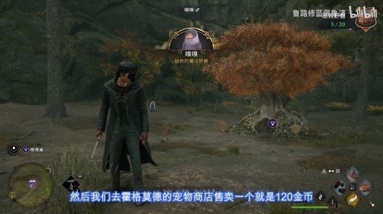《霍格沃茨之遗》快速赚钱方法 怎么赚钱