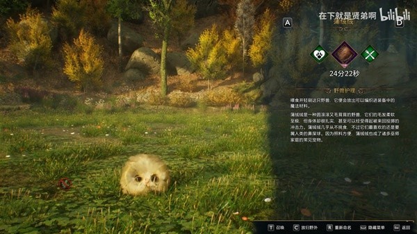 《霍格沃茨之遗》所有神奇动物巢穴位置