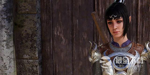 《博德之门3》伙伴选择推荐