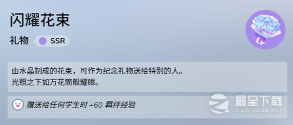 蔚蓝档案发亮的花束物品图鉴一览