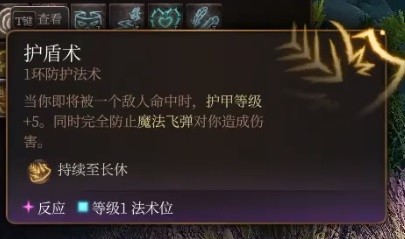 博德之门3预言法师开荒构筑攻略