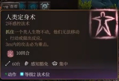 博德之门3预言法师开荒构筑攻略