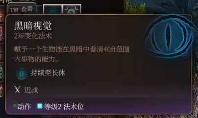 博德之门3预言法师开荒构筑攻略