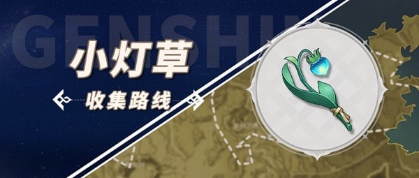 《原神》3.4版小灯草收集路线推荐