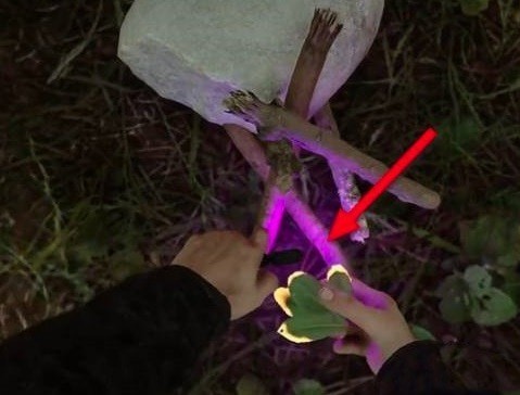 《森林之子》篝火制造方法 怎么制作篝火