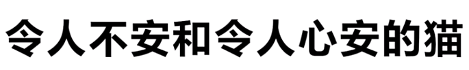 令人不安和令人心安的猫梗的含义是什么