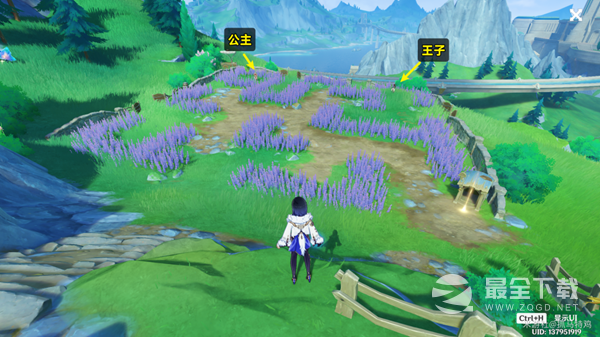 原神在开满鲜花的草地上任务完成攻略一览