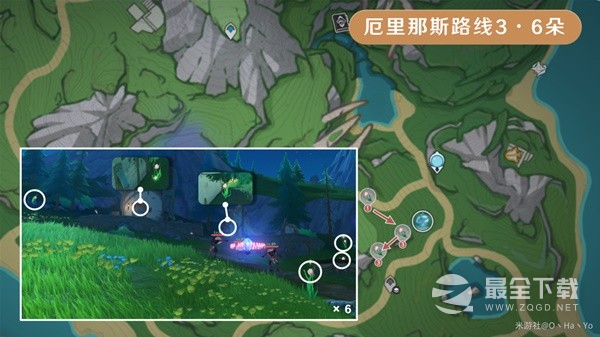 原神4.0虹彩蔷薇采集路线参考攻略