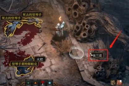 博德之门3夜兰花获取攻略