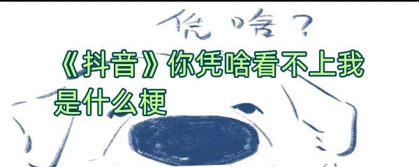 你凭啥看不上我是什么梗