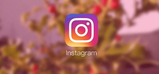 instagram为什么注册不了账号