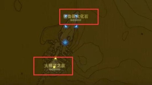 塞尔达传说王国之泪大精灵之泉位置攻略