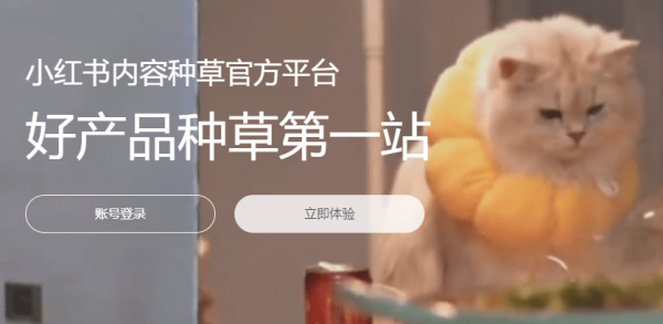 小红书蒲公英平台入口网页地址