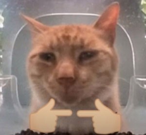 抖音新鲜哥梗有哪些意思